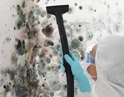 Best Comprehensive Air Testing for Mold Contaminants in Latrobe, PA